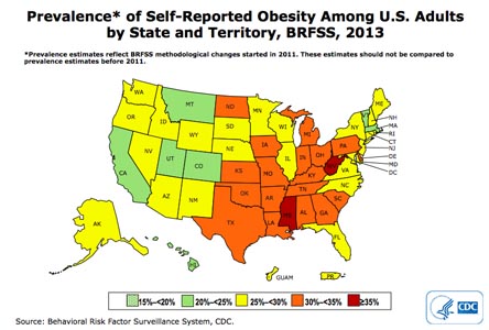 Obesity 2013